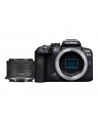 Canon EOS R10 + RF-S 18 -45 mm F4.5 - 6.3 IS STM - nr 31
