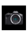 Canon EOS R100 + RF-S 18-45 mm f/4.5-6.3 IS STM - nr 24