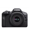 Canon EOS R100 + RF-S 18-45 mm f/4.5-6.3 IS STM - nr 39