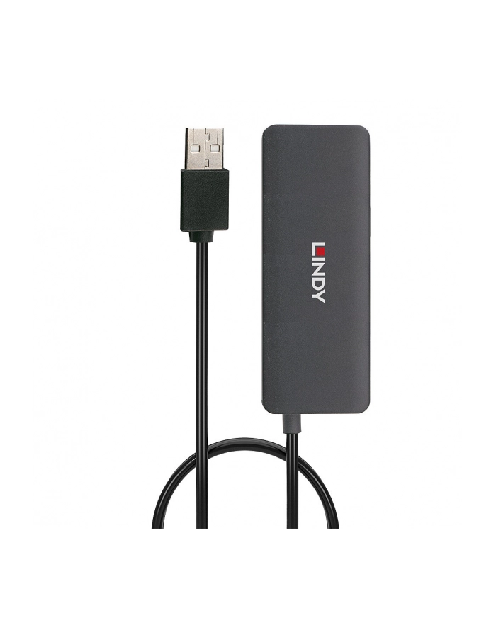Lindy 4 Port USB 2.0 Hub, USB hub główny