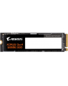 GIGABYTE AORUS Gen4 5000E SSD 1TB - nr 20