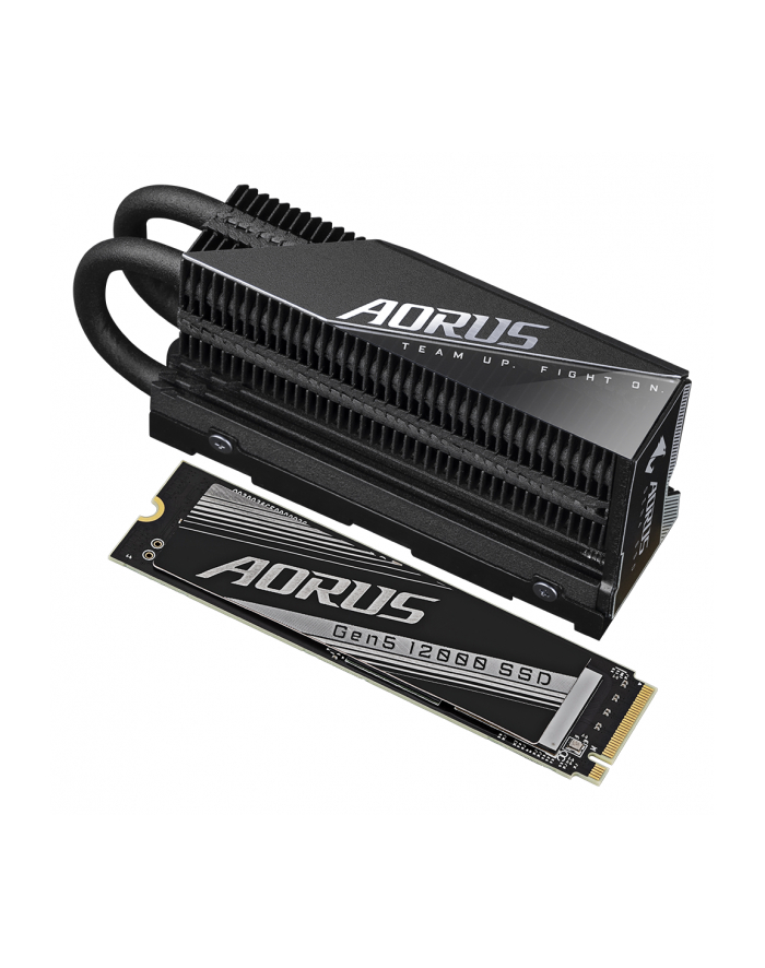 GIGABYTE AORUS Gen5 12000 SSD 1TB główny