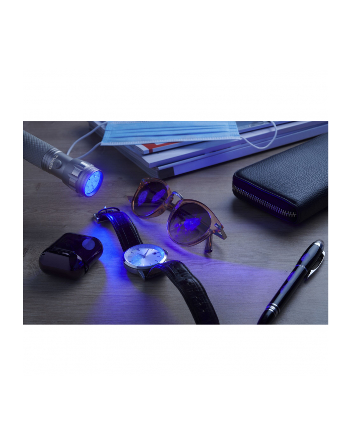 Varta UV Light, UV lamp (silver/grey) główny