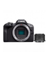 Canon EOS R100 + RF-S 18-45 mm f/4.5-6.3 IS STM - nr 2