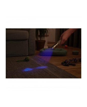 Varta UV Light, UV lamp (silver/grey)