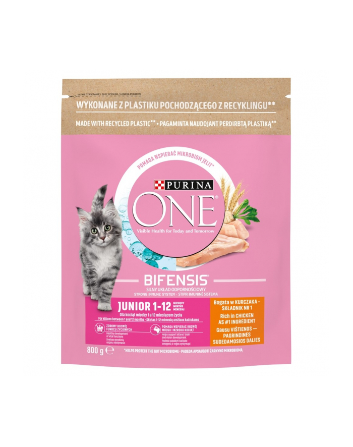 purina nestle Purina ONE JR Bogata w Kurczaka i Pełne Ziarna 800g główny