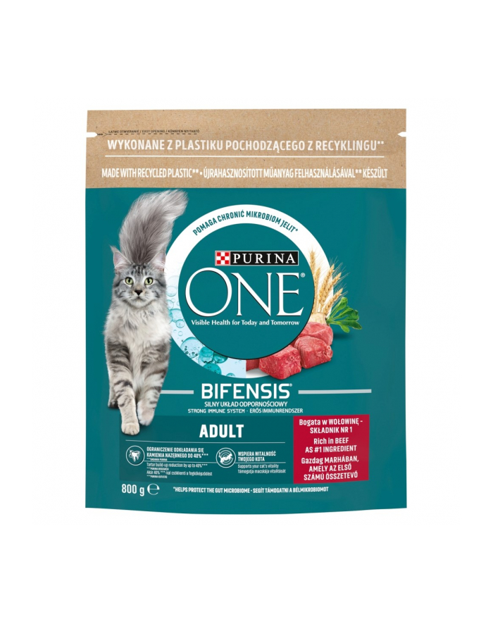 purina nestle Purina ONE Adult Bogata w Wołowinę i Pełne Ziarna 800g główny