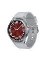 Samsung Galaxy Watch 6 (R955) Classic 43mm LTE, Silver - nr 19