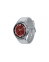 Samsung Galaxy Watch 6 (R955) Classic 43mm LTE, Silver - nr 1