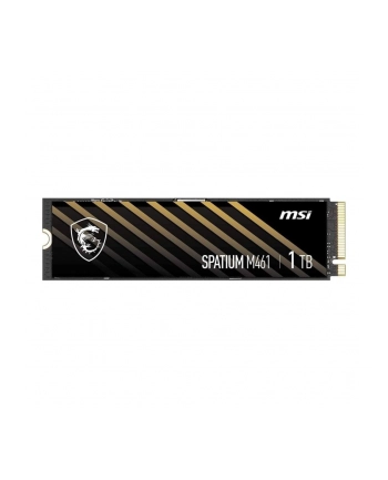 MSI Spatium M461 1TB M.2 (S78440L1D0P83) nr 2