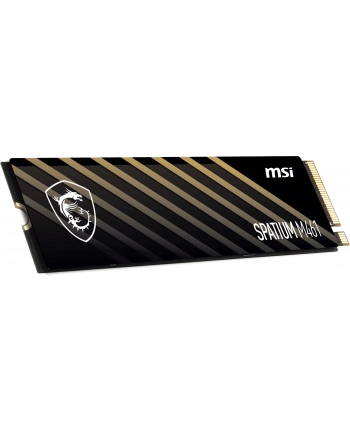 MSI Spatium M461 1TB M.2 (S78440L1D0P83) nr 1