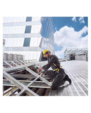 Bosch GSR 12V-30 Professional 06019G9000