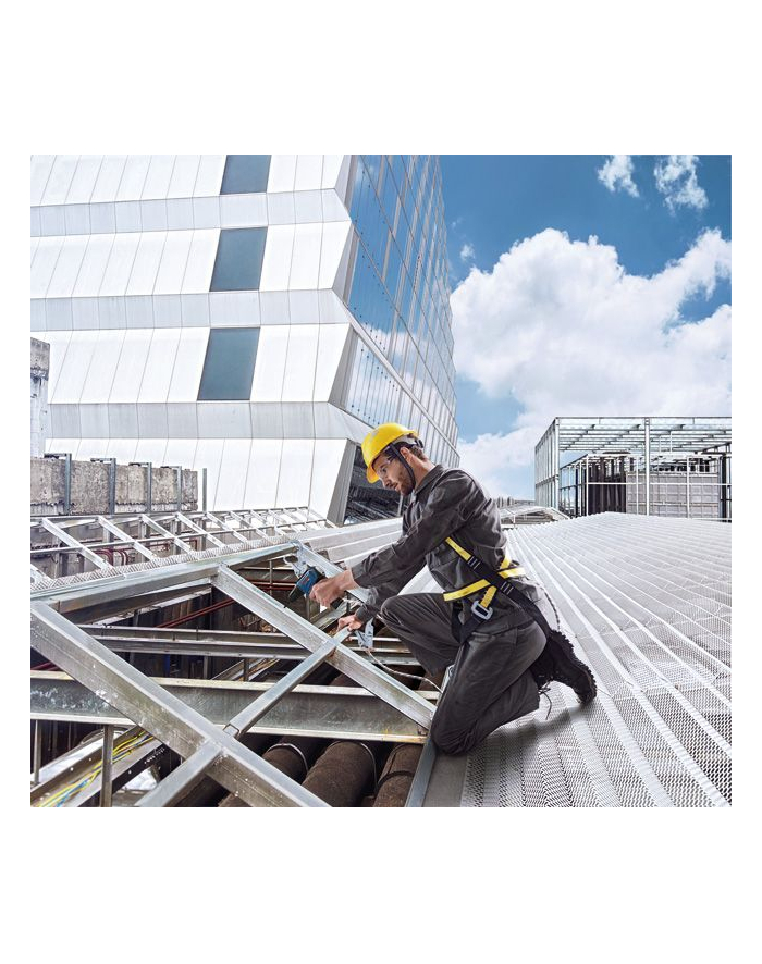 Bosch GSR 12V-30 Professional 06019G9000 główny