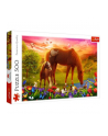 Puzzle 500el Konie na łące 37451 Trefl - nr 1