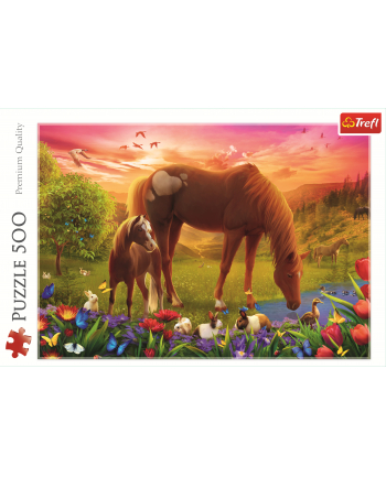 Puzzle 500el Konie na łące 37451 Trefl