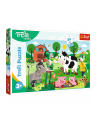 Puzzle 24 Maxi Trefliki na wsi / KAZASTUDIO SA Rodzina Treflików 14361  Trefl - nr 2