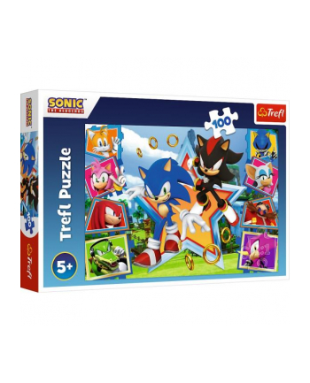 Puzzle 100el Poznaj Sonica / SEGA Sonic The Headgehog 16465 Trefl