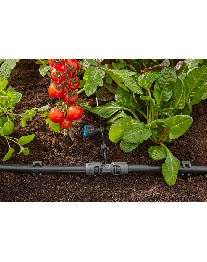 GARD-ENA Micro-Drip-System T-piece 13mm (1/2'') > 4.6mm (3/16''), connection (dark grey, 5 pieces, model 2023) główny