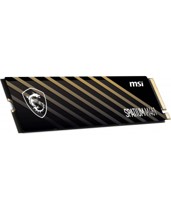 MSI Spatium M461 1TB M.2 (S78440L1D0P83) nr 1