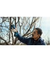 Bosch Pro Pruner Professional 06019K1020 - nr 5