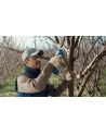 Bosch Pro Pruner Professional 06019K1020 - nr 10