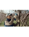 Bosch Pro Pruner Professional 06019K1020 - nr 7
