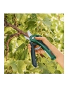 Bosch EasyPrune 06008B2102 - nr 14