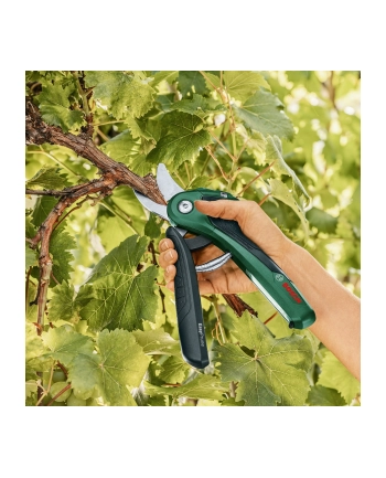 Bosch EasyPrune 06008B2102 nr 1