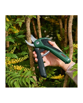 Bosch EasyPrune 06008B2102 nr 2