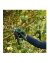 Bosch EasyPrune 06008B2102 - nr 17