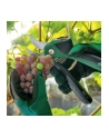 Bosch EasyPrune 06008B2102 - nr 8