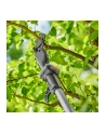 GARD-ENA Cordless Telescopic Pruning Shears HighCut 250/18V P4A solo, 18V (dark grey/turquoise, without battery and charger, POWER FOR ALL ALLIANCE) - nr 12