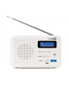 technisat Radio TechniViola DiRa 1 DAB+/FM - nr 1