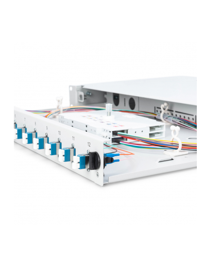 DIGITUS  LWL PUDEŁKO DO ROZŁUPYWANIA, 12 LC ŁĄCZNIKI - OS2-1HE 19 CALI - SINGLE-MODE DUPLEX - Z KASETĄ SPLOTOWĄ - MONTAŻ W SZAFIE  () główny