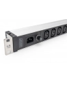 Digitus 1U Aluminum Pdu, Rackmountable, 9 X C13 10 A, 230 V Ac, 50/60 Hz, Iec C14 Inlet, A Fuse (DN95429) - nr 18