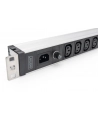 Digitus 1U Aluminum Pdu, Rackmountable, 9 X C13 10 A, 230 V Ac, 50/60 Hz, Iec C14 Inlet, A Fuse (DN95429) - nr 1