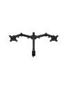 ENDORFY Atlas Double (EY8F003) - nr 10