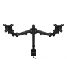ENDORFY Atlas Double (EY8F003) - nr 17