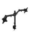 ENDORFY Atlas Double (EY8F003) - nr 31