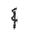 ENDORFY Atlas Double (EY8F003) - nr 40
