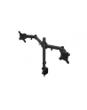 ENDORFY Atlas Double (EY8F003) - nr 48