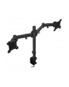 ENDORFY Atlas Double (EY8F003) - nr 55