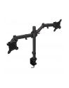 ENDORFY Atlas Double (EY8F003) - nr 9
