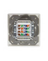 Logilink Cat.6A Wall Outlet 2 X Rj45 Shielded With Backbox Pure White (NP0124) - nr 25