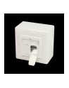 Logilink Cat.6A Wall Outlet 2 X Rj45 Shielded With Backbox Pure White (NP0124) - nr 28