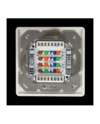 Logilink Cat.6A Wall Outlet 2 X Rj45 Shielded With Backbox Pure White (NP0124) nr 1