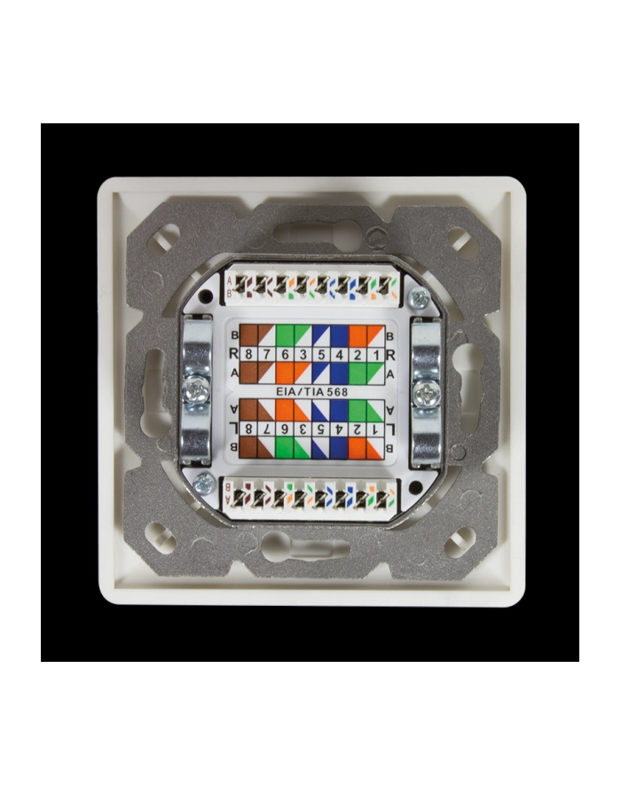 Logilink Cat.6A Wall Outlet 2 X Rj45 Shielded With Backbox Pure White (NP0124) główny