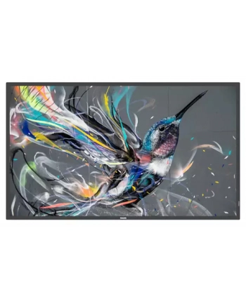Philips Videowall 75Bdl3511Q/00 Led 75'' (Ap399787) nr 2