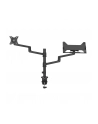 NEOMOUNTS BY NEWSTAR Laptop + Screen Desk Mount 17-27inch clamp+grommet 1 screen Black - nr 28
