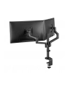 NEOMOUNTS BY NEWSTAR Screen Desk Mount 17-27inch clamp+grommet 2 screens Black - nr 25